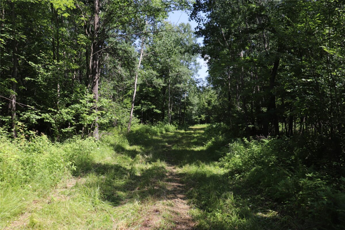S11305 Kempton Road, Augusta WI 54722 - Land house for sale - MLS #1602723 - image4