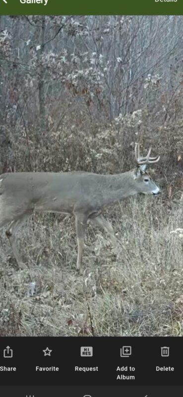 S11305 Kempton Road, Augusta WI 54722 - Land house for sale - MLS #1602723 - image36