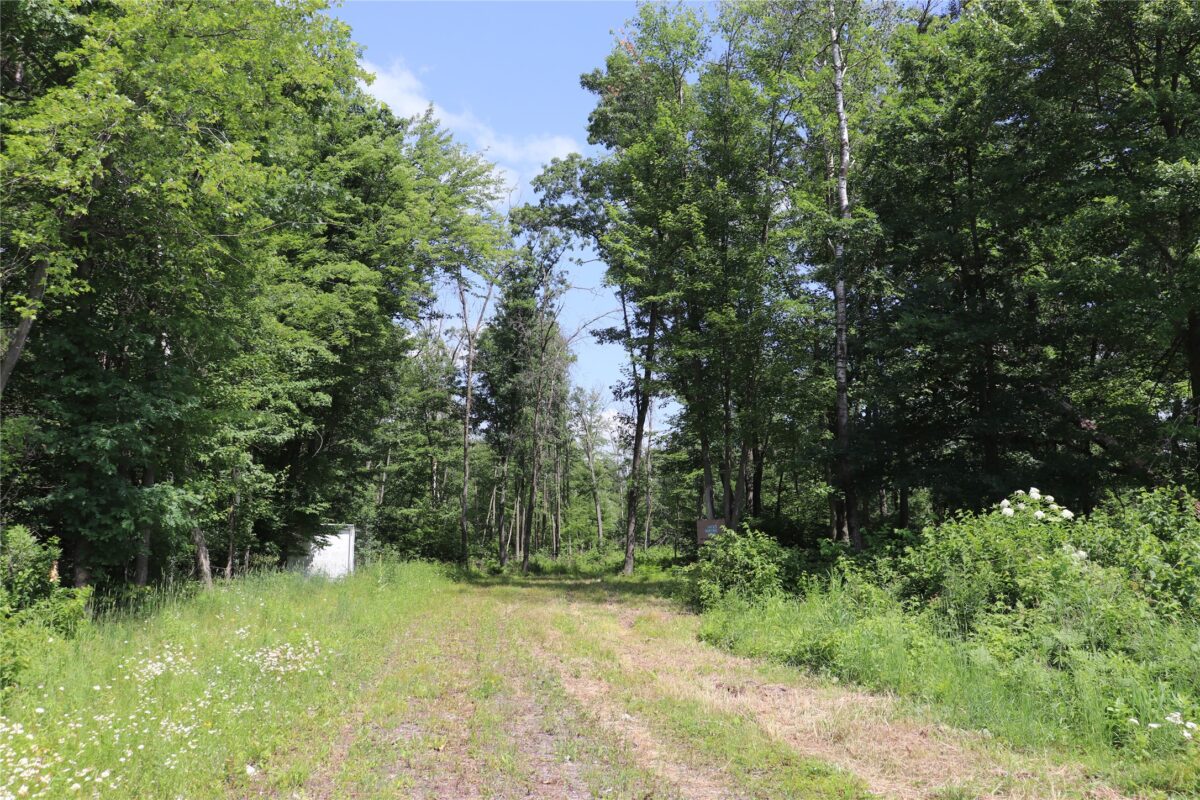 S11305 Kempton Road, Augusta WI 54722 - Land house for sale - MLS #1602723 - image40