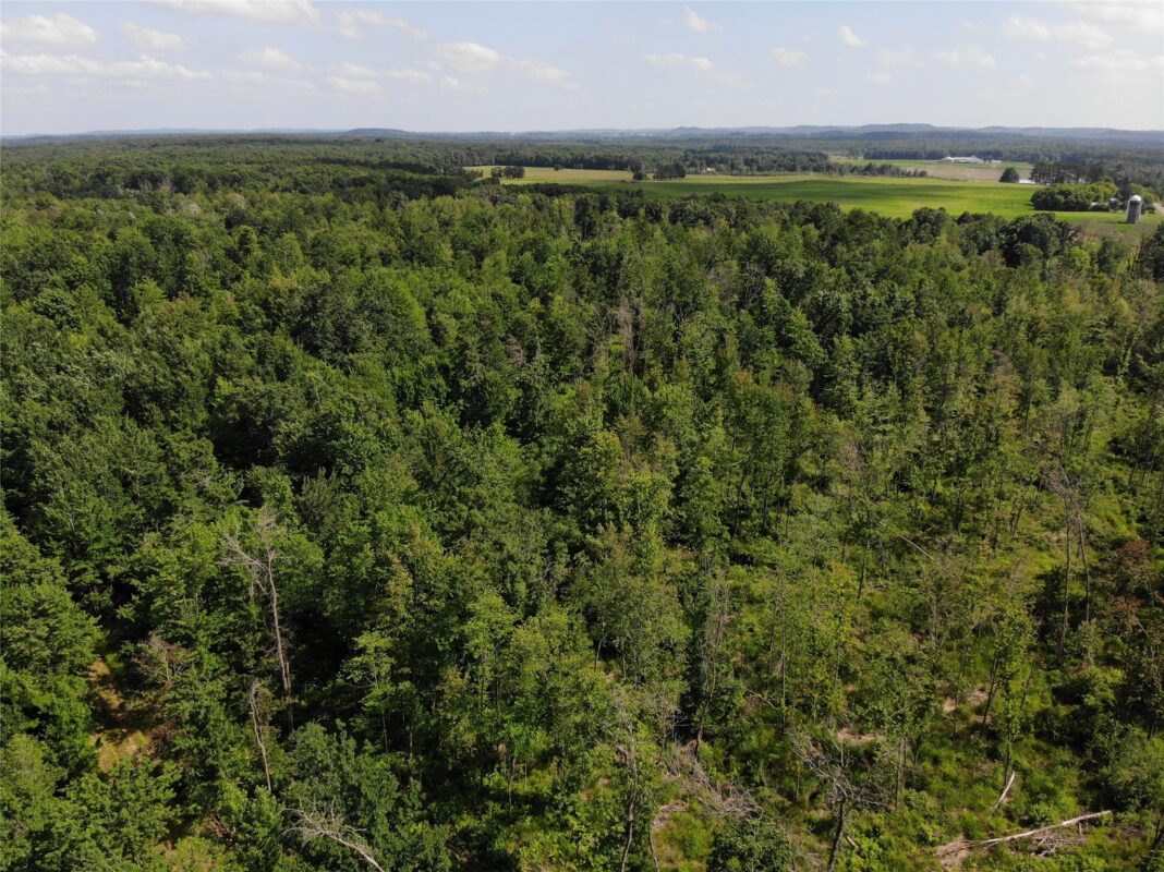 S11305 Kempton Road, Augusta WI 54722 - Land house for sale - MLS #1602723 - image5