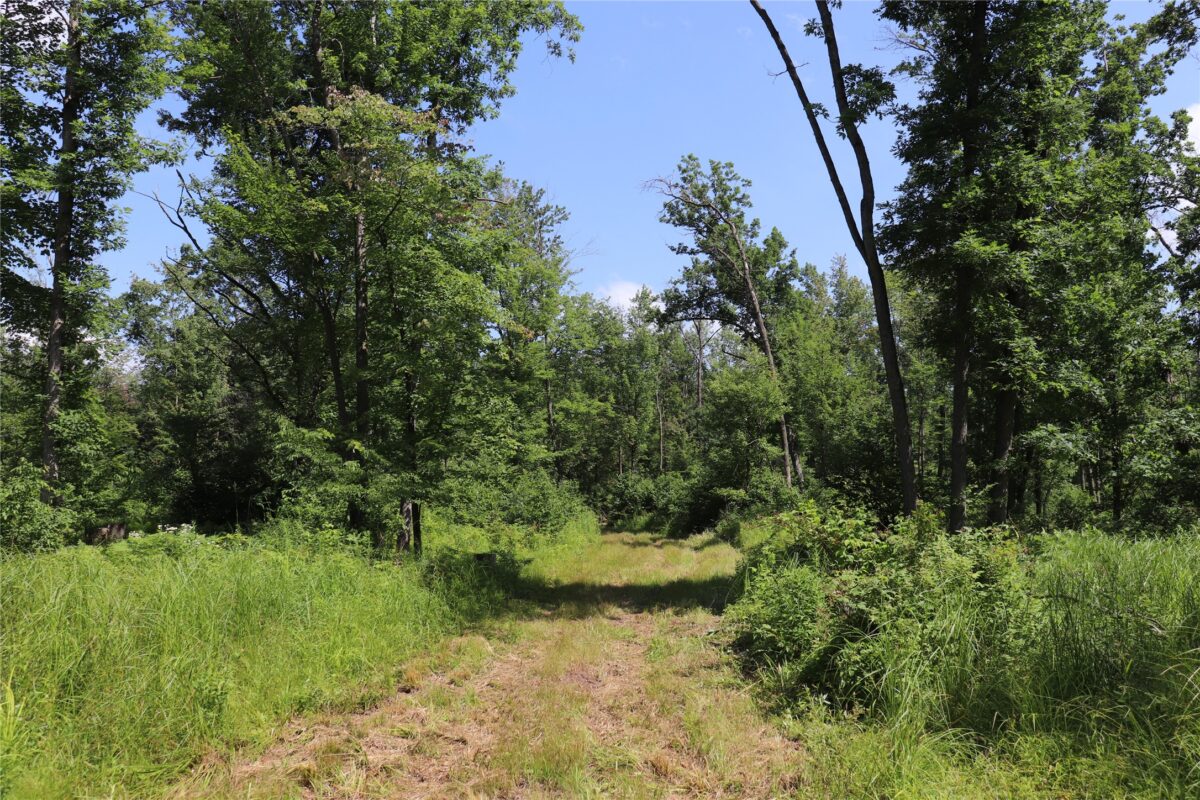 S11305 Kempton Road, Augusta WI 54722 - Land house for sale - MLS #1602723 - image42