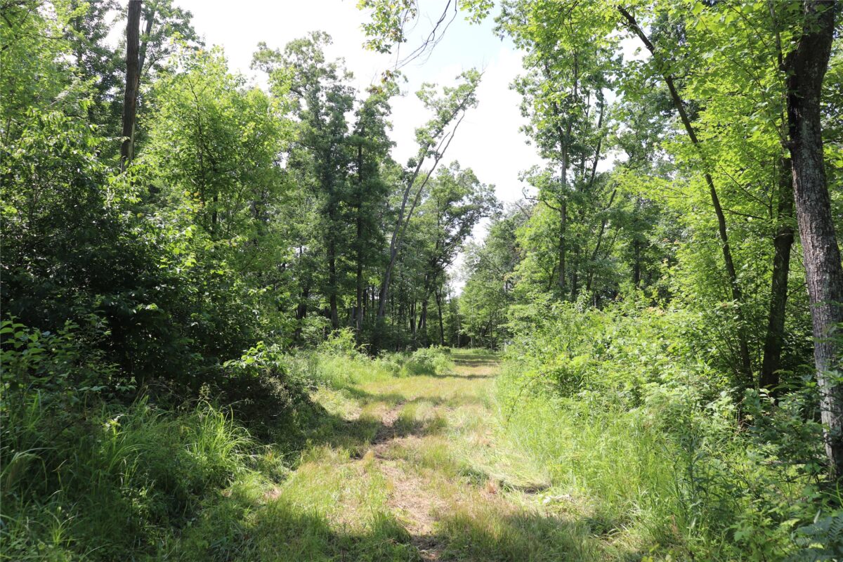 S11305 Kempton Road, Augusta WI 54722 - Land house for sale - MLS #1602723 - image44