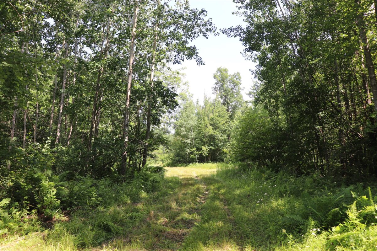 S11305 Kempton Road, Augusta WI 54722 - Land house for sale - MLS #1602723 - image45