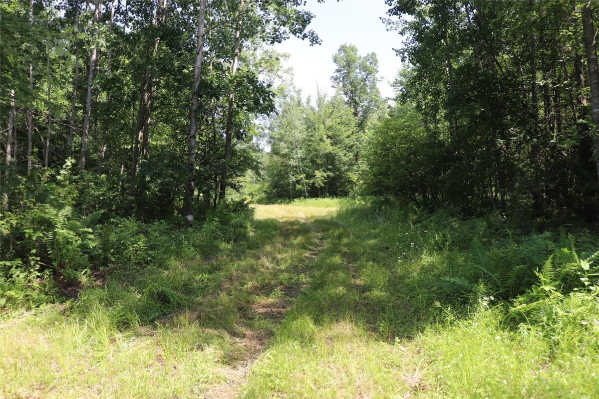S11305 Kempton Road, Augusta WI 54722 - Land house for sale - MLS #1602723 - image46