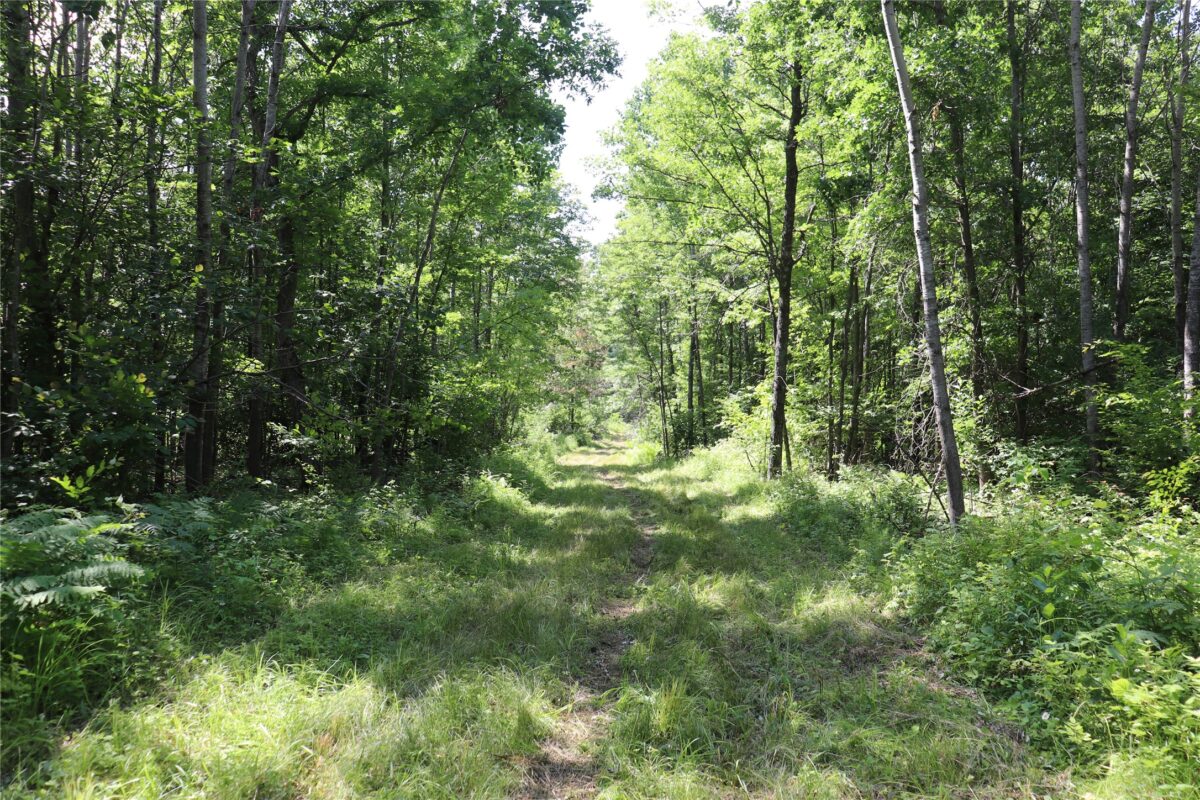 S11305 Kempton Road, Augusta WI 54722 - Land house for sale - MLS #1602723 - image47