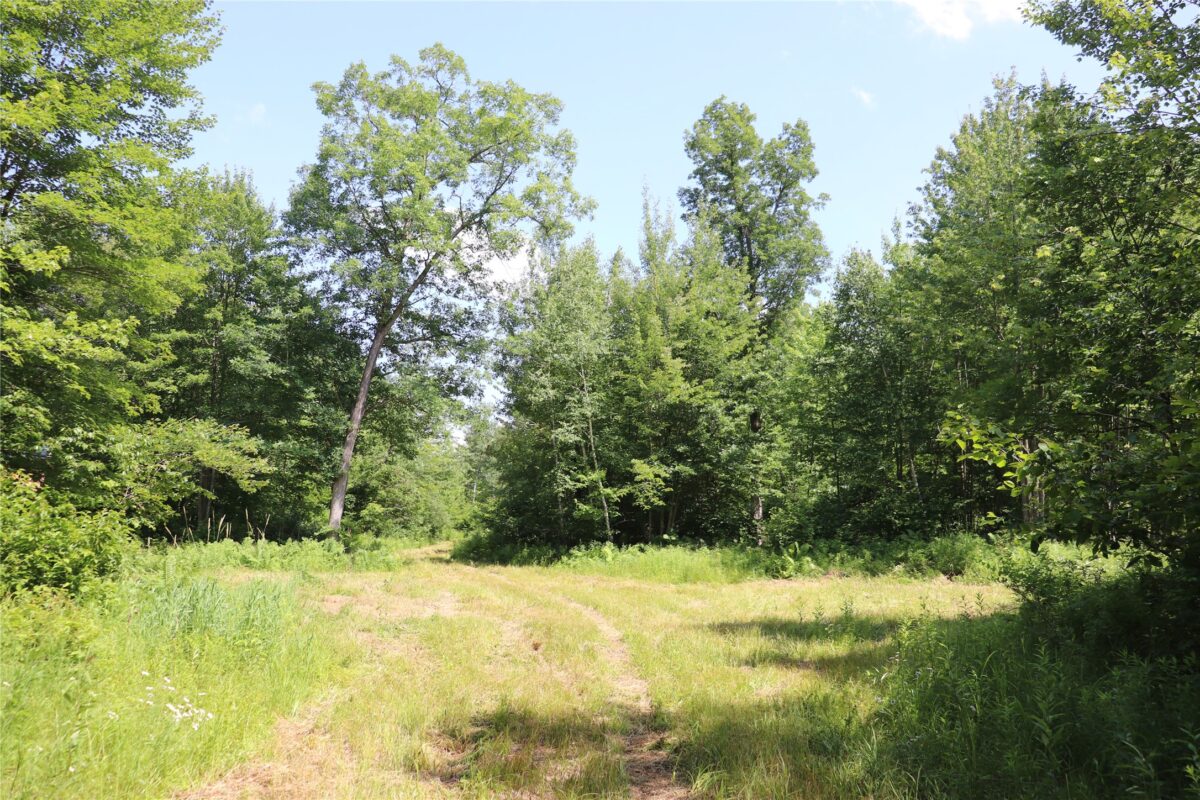 S11305 Kempton Road, Augusta WI 54722 - Land house for sale - MLS #1602723 - image48