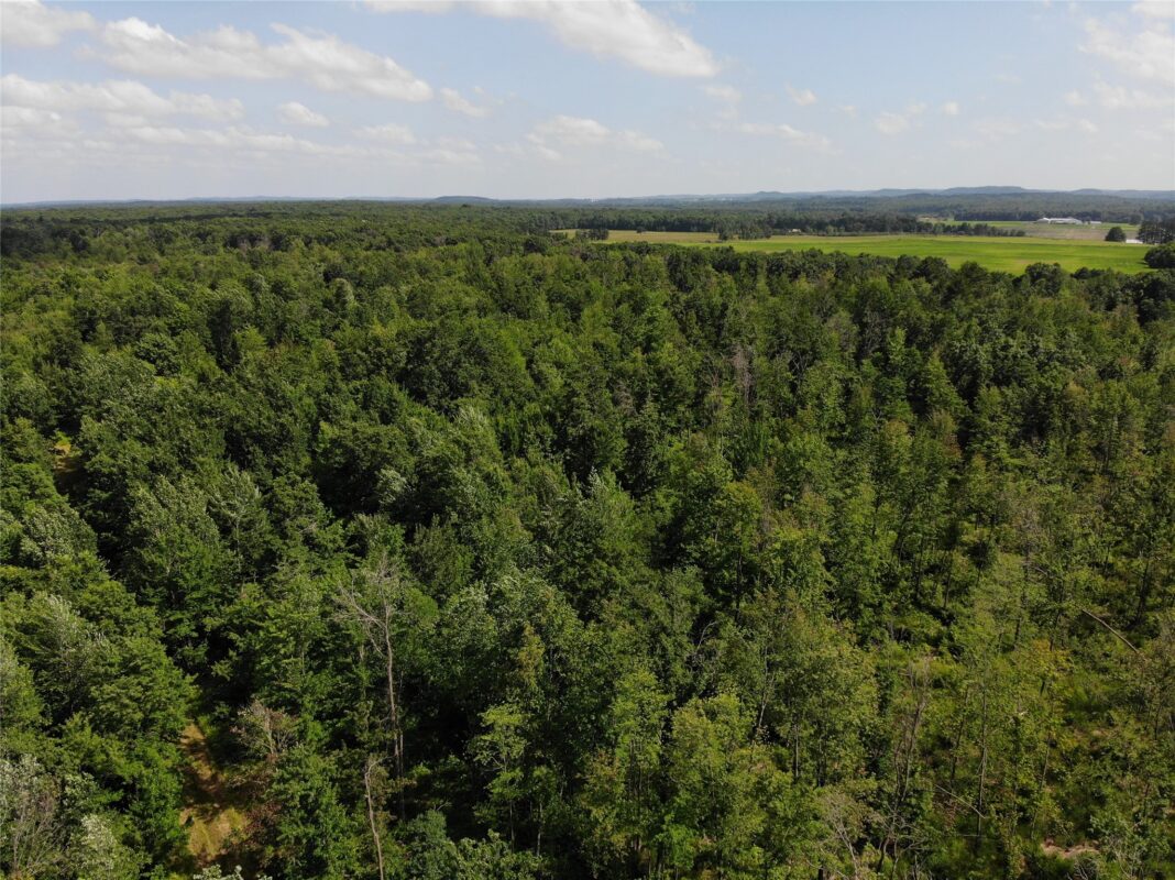 S11305 Kempton Road, Augusta WI 54722 - Land house for sale - MLS #1602723 - image49