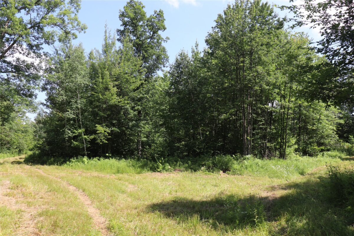 S11305 Kempton Road, Augusta WI 54722 - Land house for sale - MLS #1602723 - image50