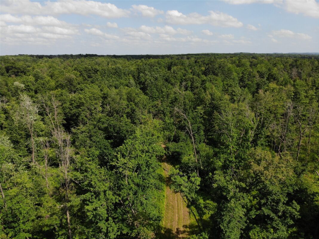 S11305 Kempton Road, Augusta WI 54722 - Land house for sale - MLS #1602723 - image6