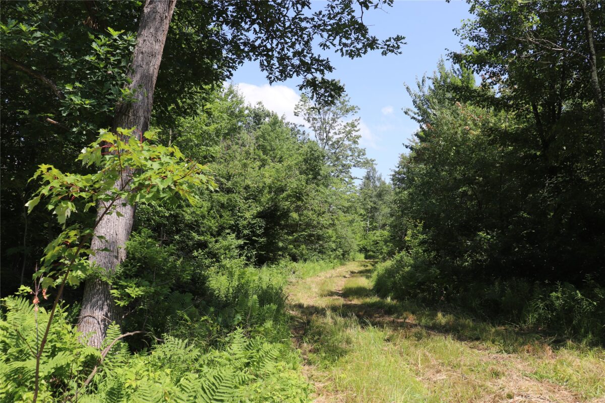 S11305 Kempton Road, Augusta WI 54722 - Land house for sale - MLS #1602723 - image51