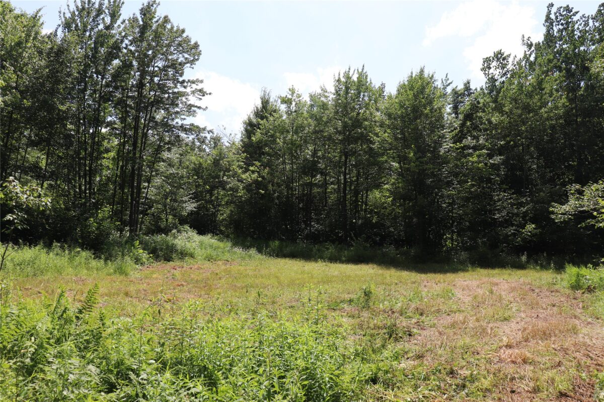 S11305 Kempton Road, Augusta WI 54722 - Land house for sale - MLS #1602723 - image52