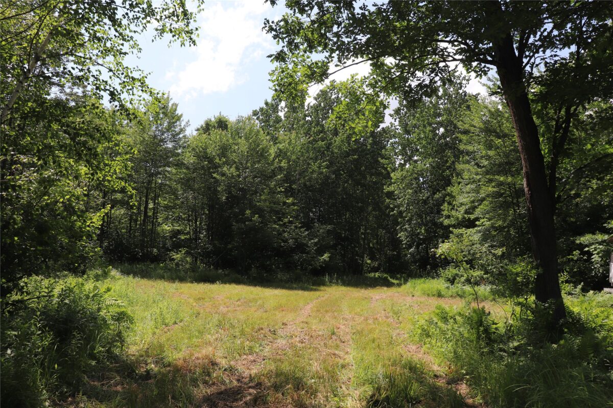 S11305 Kempton Road, Augusta WI 54722 - Land house for sale - MLS #1602723 - image54