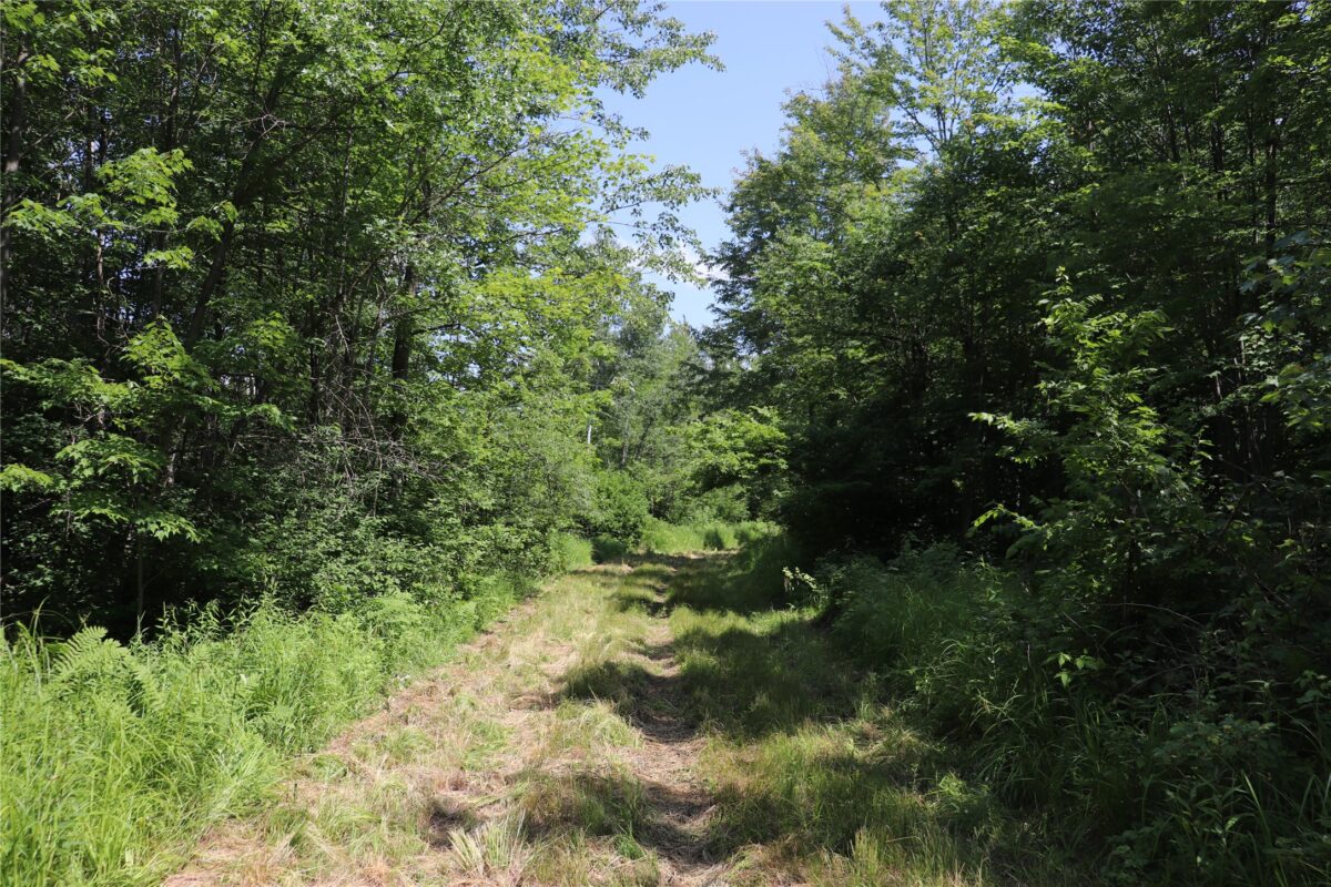 S11305 Kempton Road, Augusta WI 54722 - Land house for sale - MLS #1602723 - image56