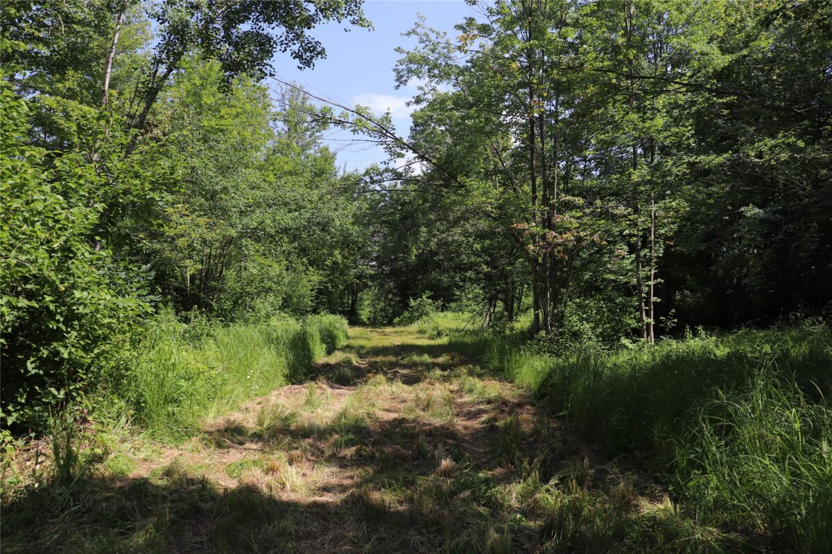S11305 Kempton Road, Augusta WI 54722 - Land house for sale - MLS #1602723 - image57