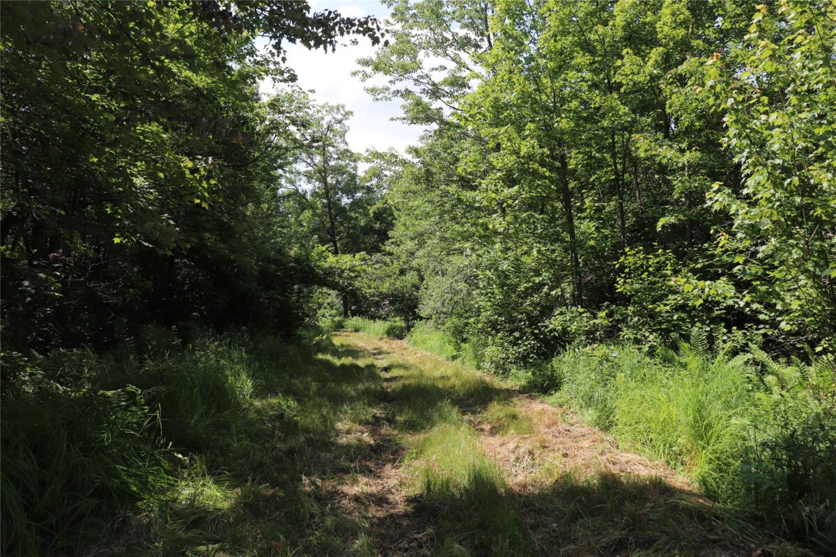 S11305 Kempton Road, Augusta WI 54722 - Land house for sale - MLS #1602723 - image58