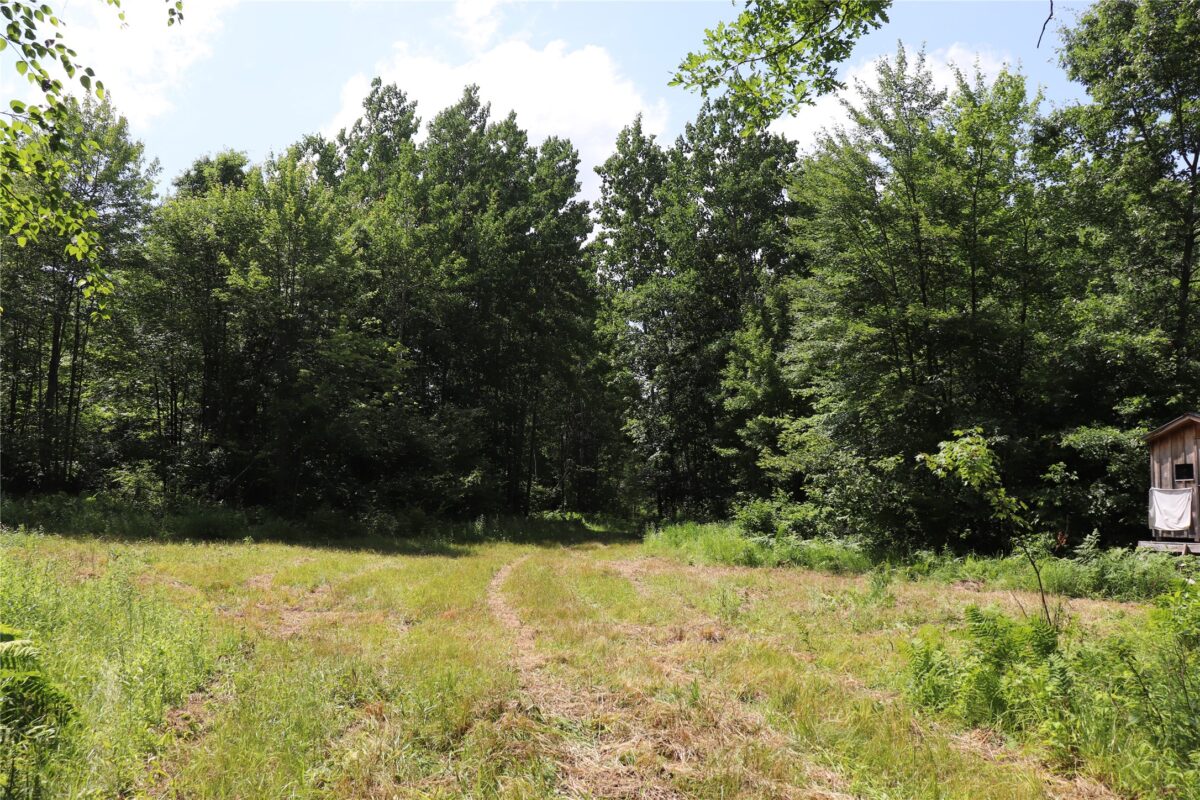 S11305 Kempton Road, Augusta WI 54722 - Land house for sale - MLS #1602723 - image59
