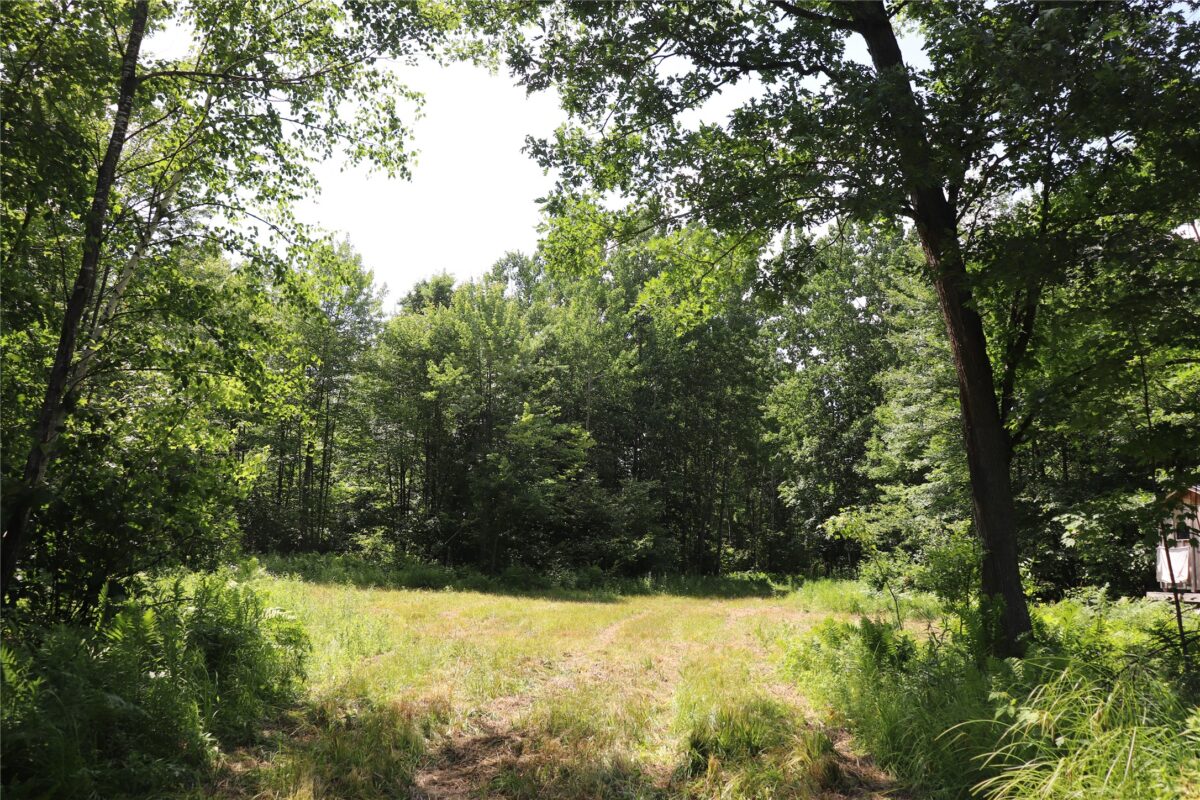S11305 Kempton Road, Augusta WI 54722 - Land house for sale - MLS #1602723 - image60