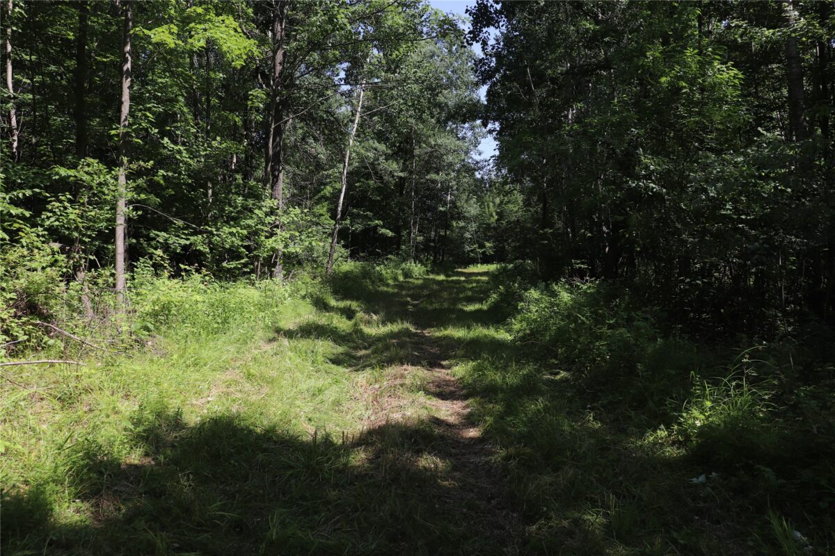 S11305 Kempton Road, Augusta WI 54722 - Land house for sale - MLS #1602723 - image7