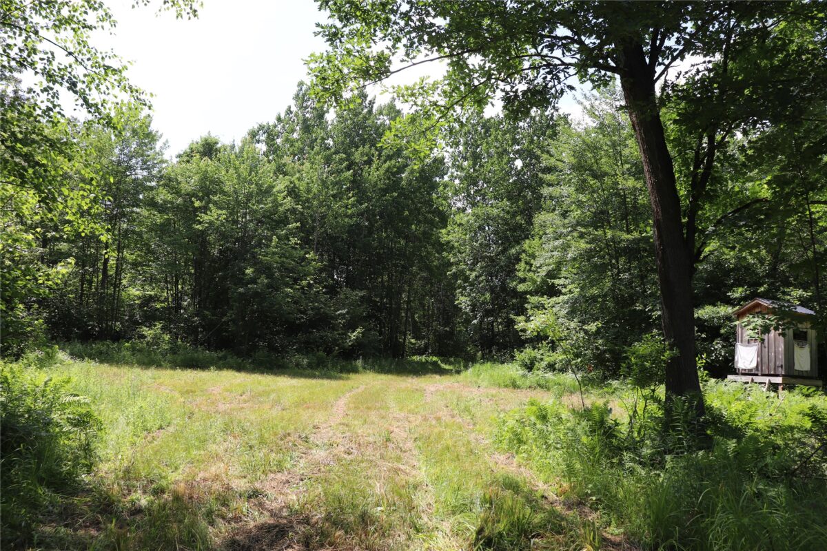 S11305 Kempton Road, Augusta WI 54722 - Land house for sale - MLS #1602723 - image8
