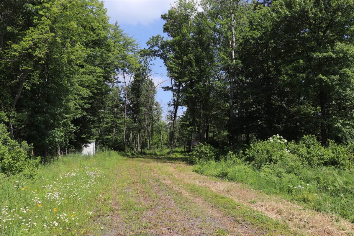 S11305 Kempton Road, Augusta WI 54722 - Land house for sale - MLS #1602723 - image10