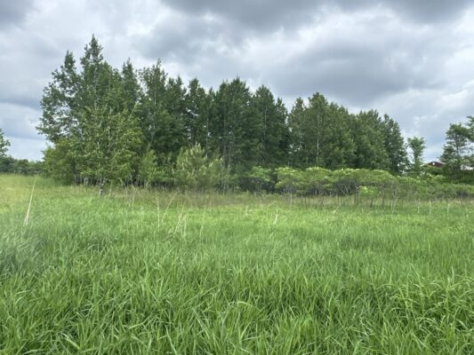 TBD 10 1/2 Avenue Clayton WI 54004