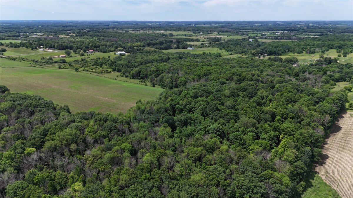 TBD 230th Street, Baldwin WI 54002 - Land house for sale - MLS #1602407 - image15