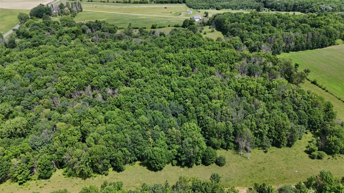 TBD 230th Street, Baldwin WI 54002 - Land house for sale - MLS #1602407 - image20