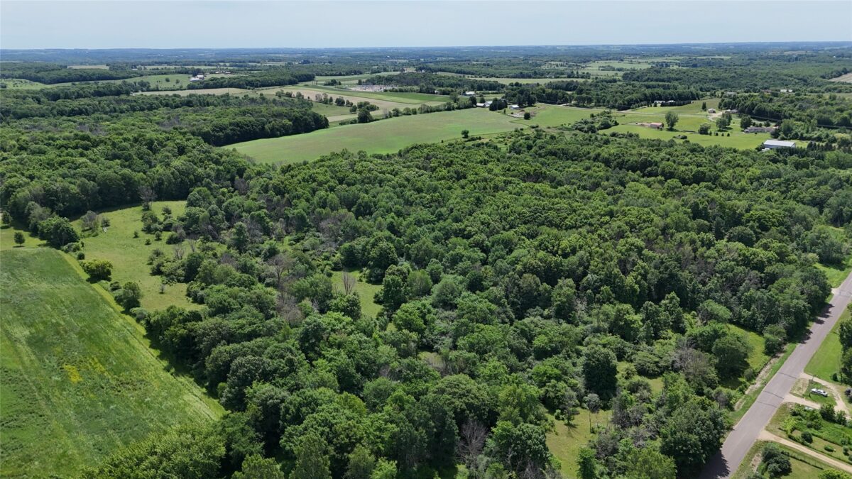 TBD 230th Street, Baldwin WI 54002 - Land house for sale - MLS #1602407 - image25