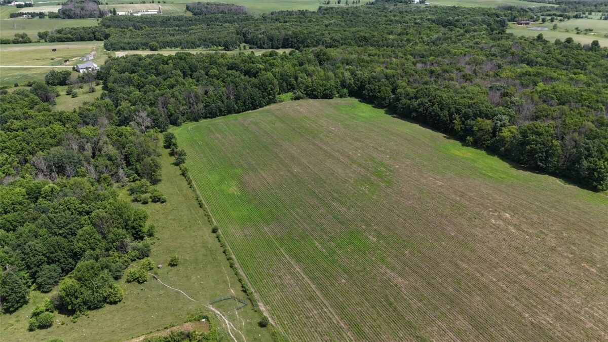 TBD 230th Street, Baldwin WI 54002 - Land house for sale - MLS #1602407 - image34