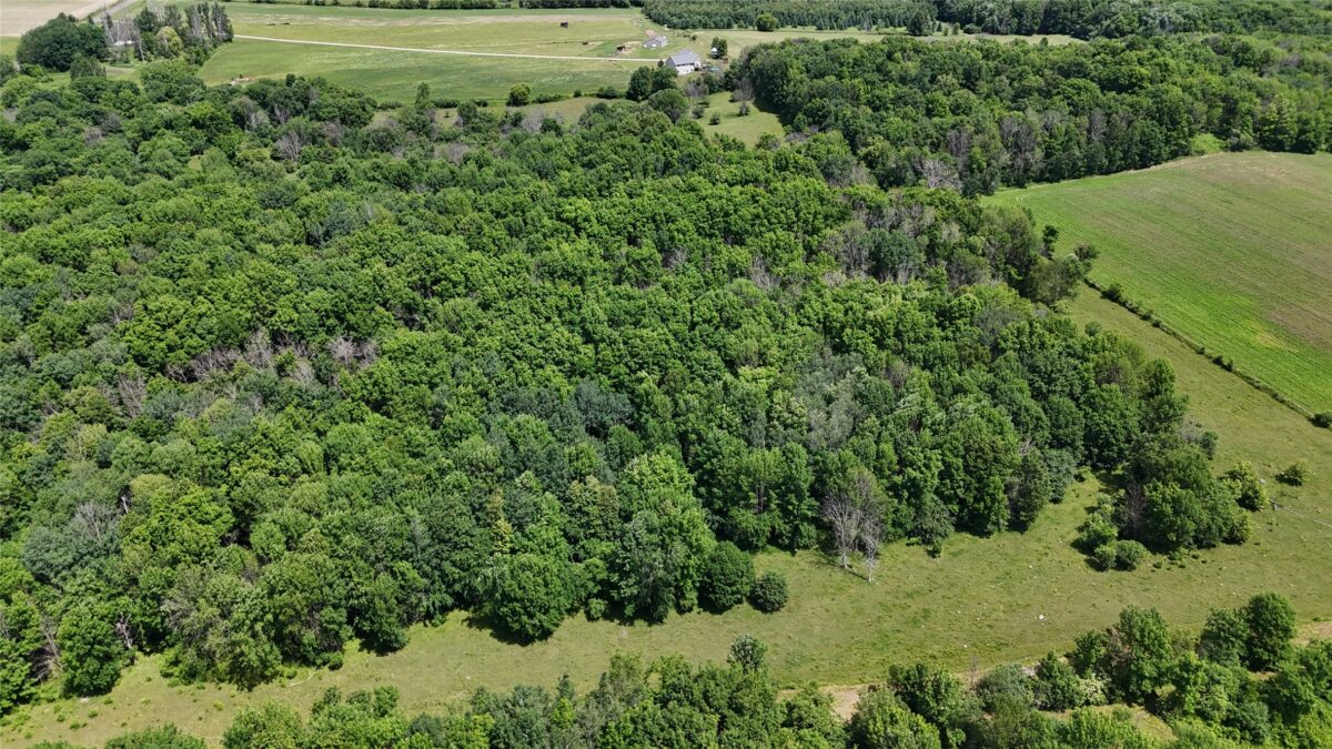TBD 230th Street, Baldwin WI 54002 - Land house for sale - MLS #1602407 - image35