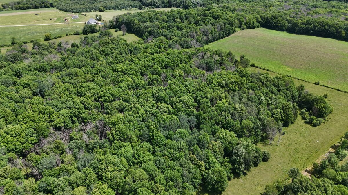 TBD 230th Street, Baldwin WI 54002 - Land house for sale - MLS #1602407 - image36