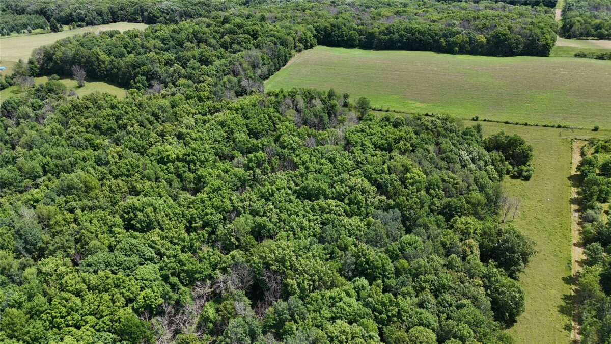 TBD 230th Street, Baldwin WI 54002 - Land house for sale - MLS #1602407 - image37