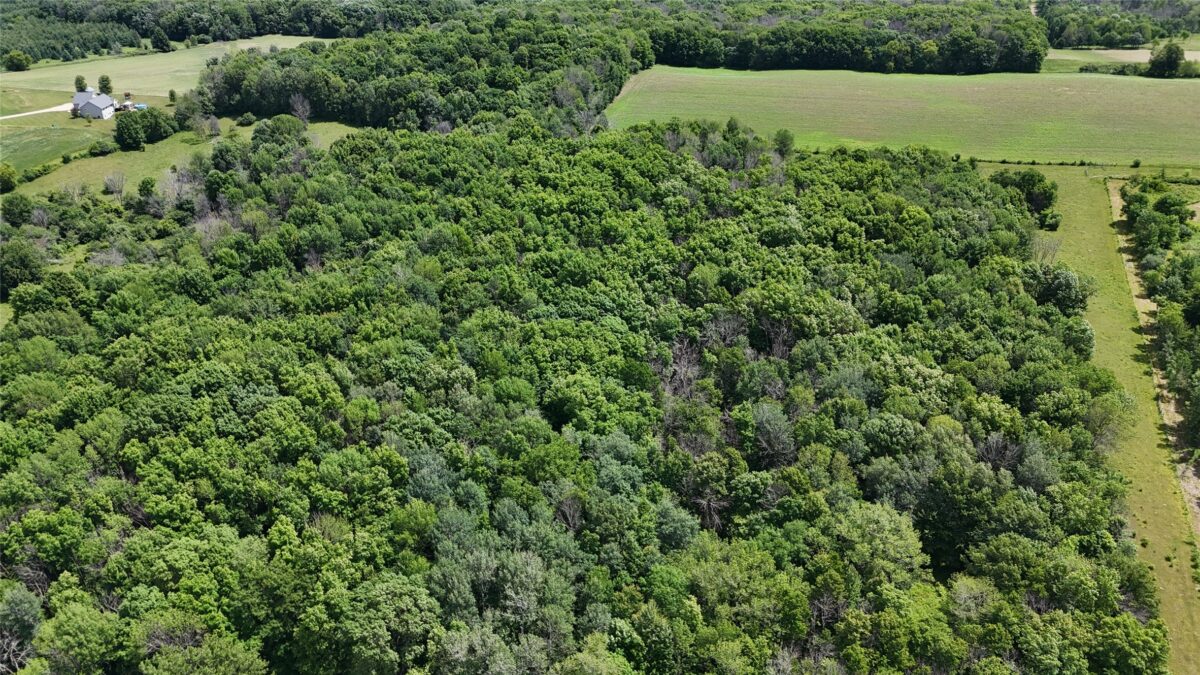TBD 230th Street, Baldwin WI 54002 - Land house for sale - MLS #1602407 - image39