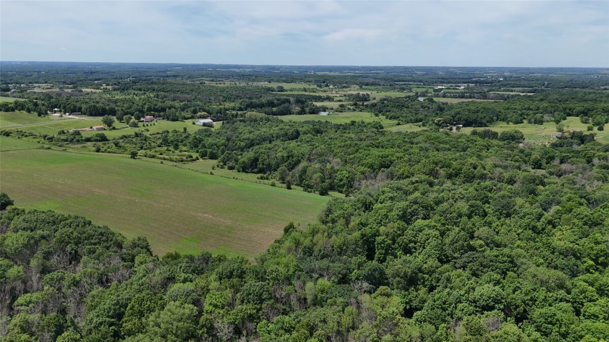 TBD 230th Street, Baldwin WI 54002 - Land house for sale - MLS #1602407 - image5
