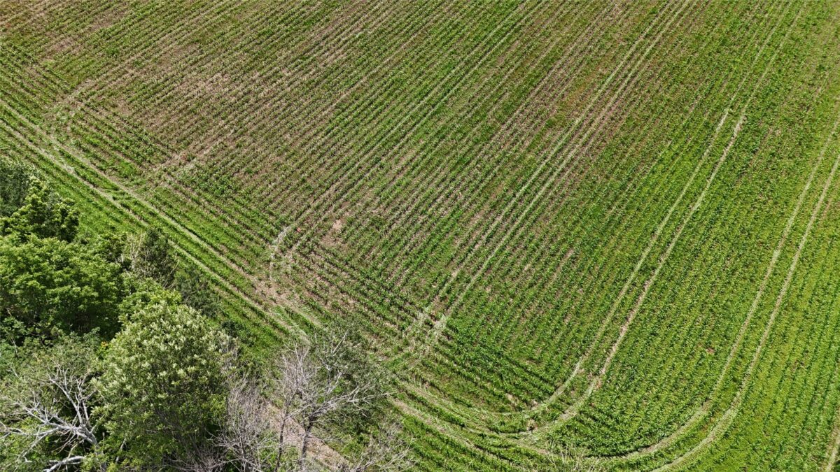 TBD 230th Street, Baldwin WI 54002 - Land house for sale - MLS #1602407 - image42