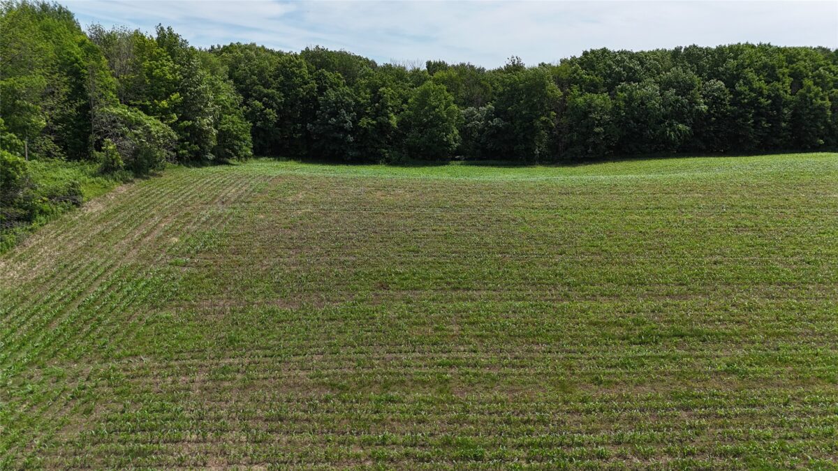 TBD 230th Street, Baldwin WI 54002 - Land house for sale - MLS #1602407 - image43