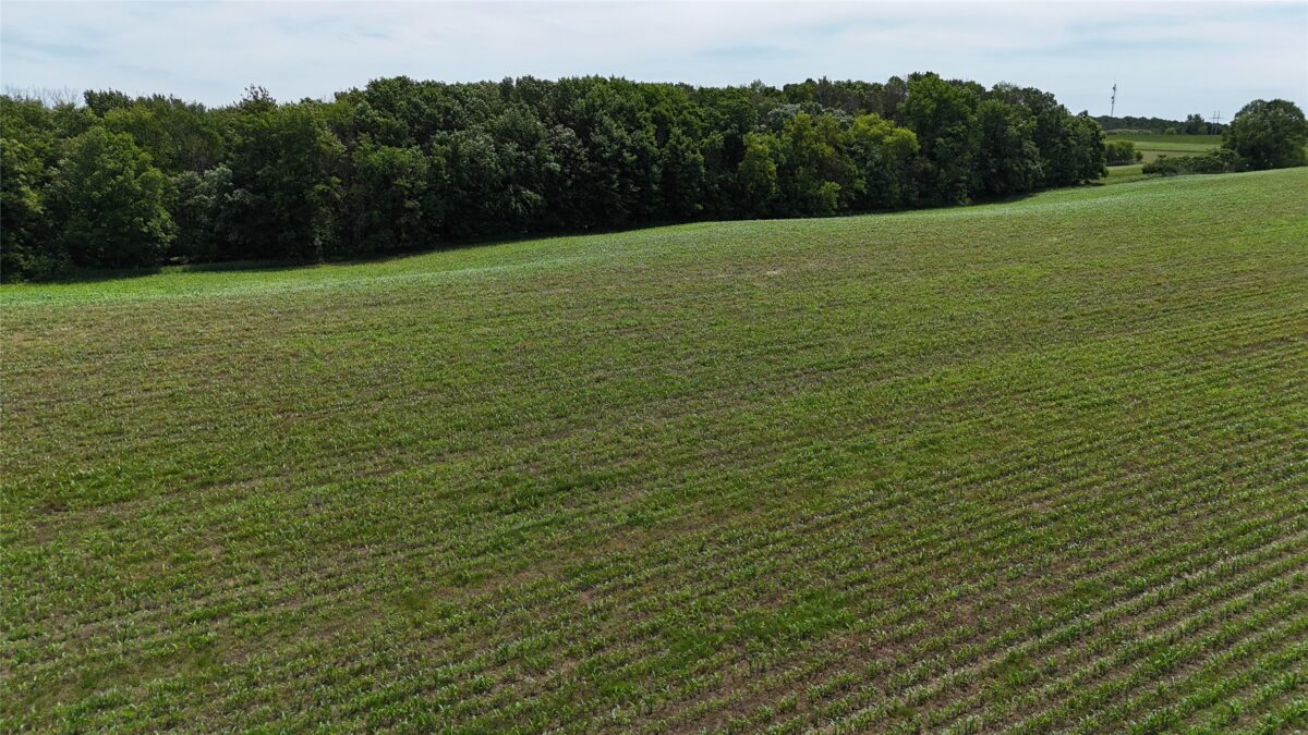 TBD 230th Street, Baldwin WI 54002 - Land house for sale - MLS #1602407 - image44