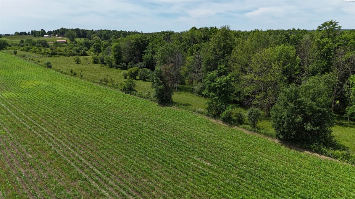 TBD 230th Street, Baldwin WI 54002 - Land house for sale - MLS #1602407 - image45