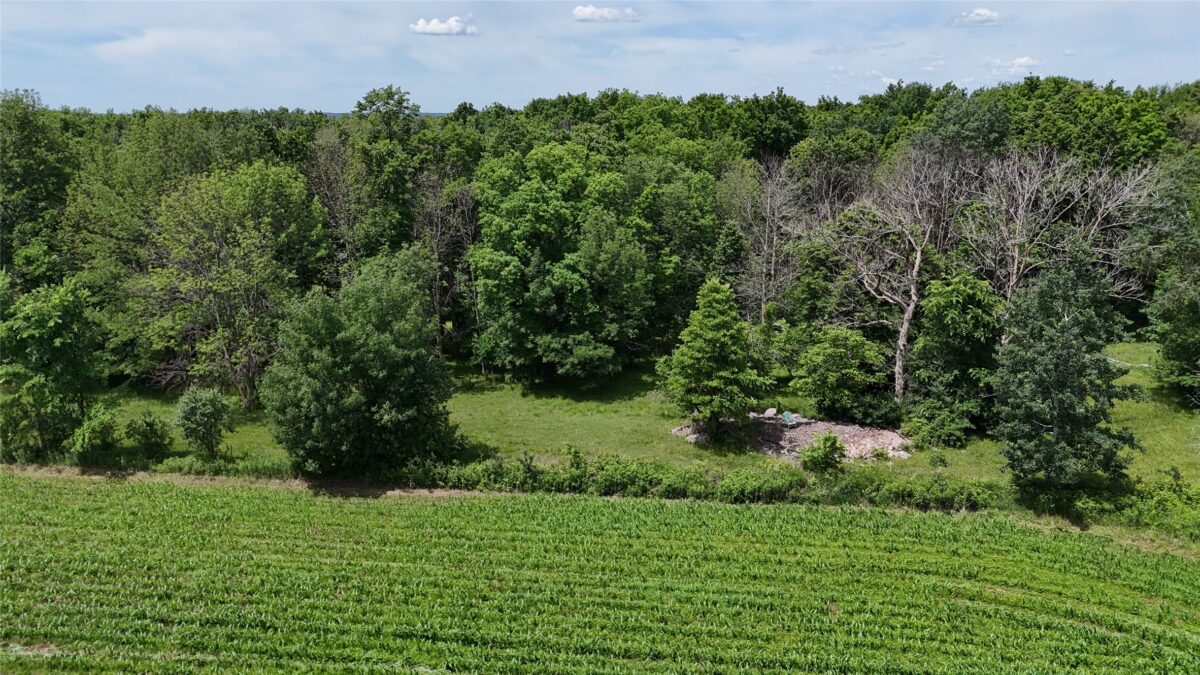 TBD 230th Street, Baldwin WI 54002 - Land house for sale - MLS #1602407 - image46