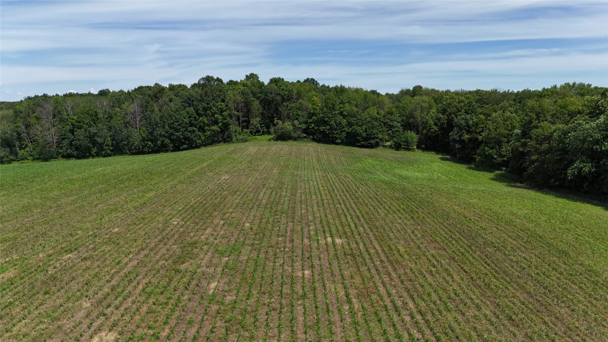 TBD 230th Street, Baldwin WI 54002 - Land house for sale - MLS #1602407 - image49