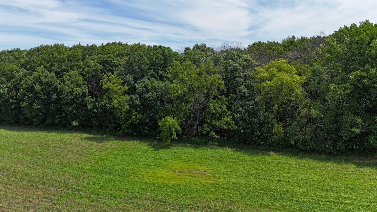 TBD 230th Street, Baldwin WI 54002 - Land house for sale - MLS #1602407 - image50