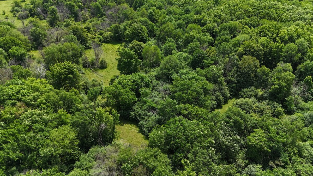 TBD 230th Street, Baldwin WI 54002 - Land house for sale - MLS #1602407 - image52