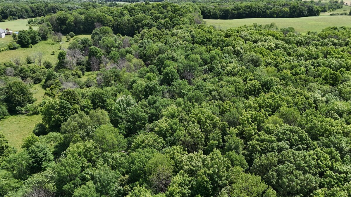 TBD 230th Street, Baldwin WI 54002 - Land house for sale - MLS #1602407 - image53