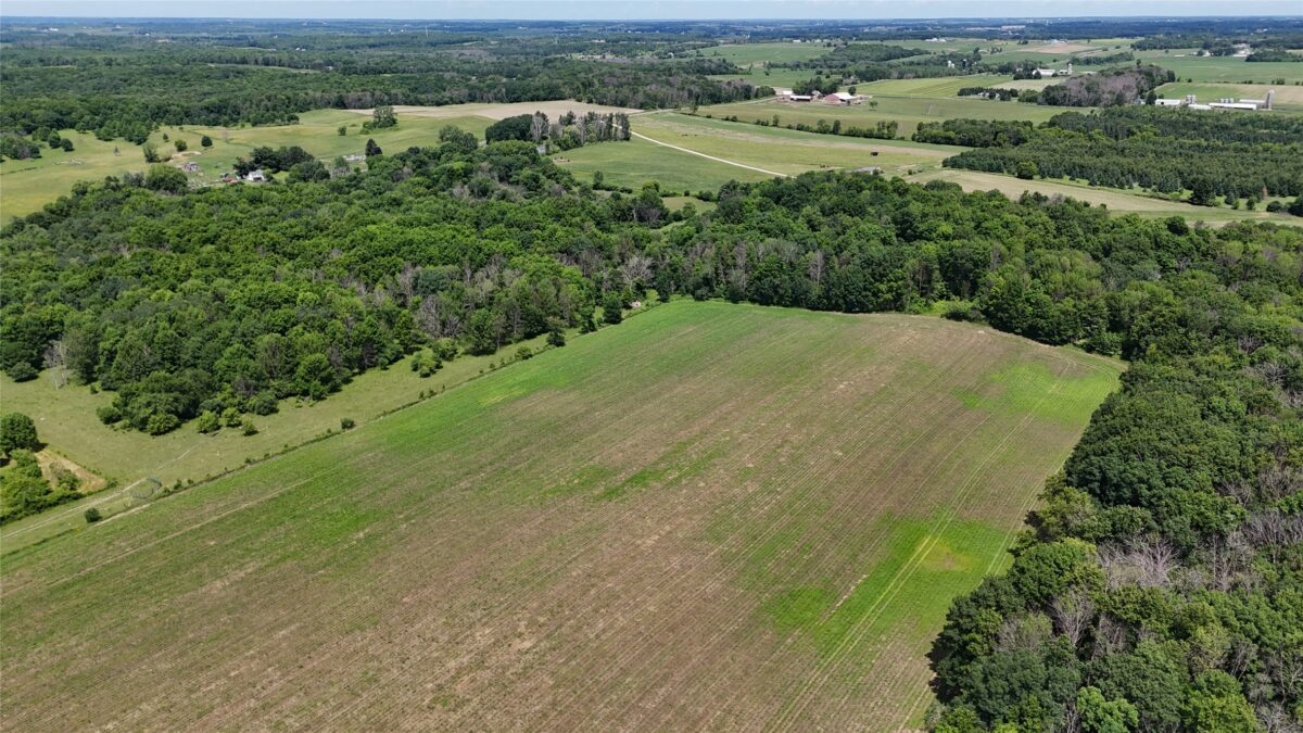 TBD 230th Street, Baldwin WI 54002 - Land house for sale - MLS #1602407 - image7