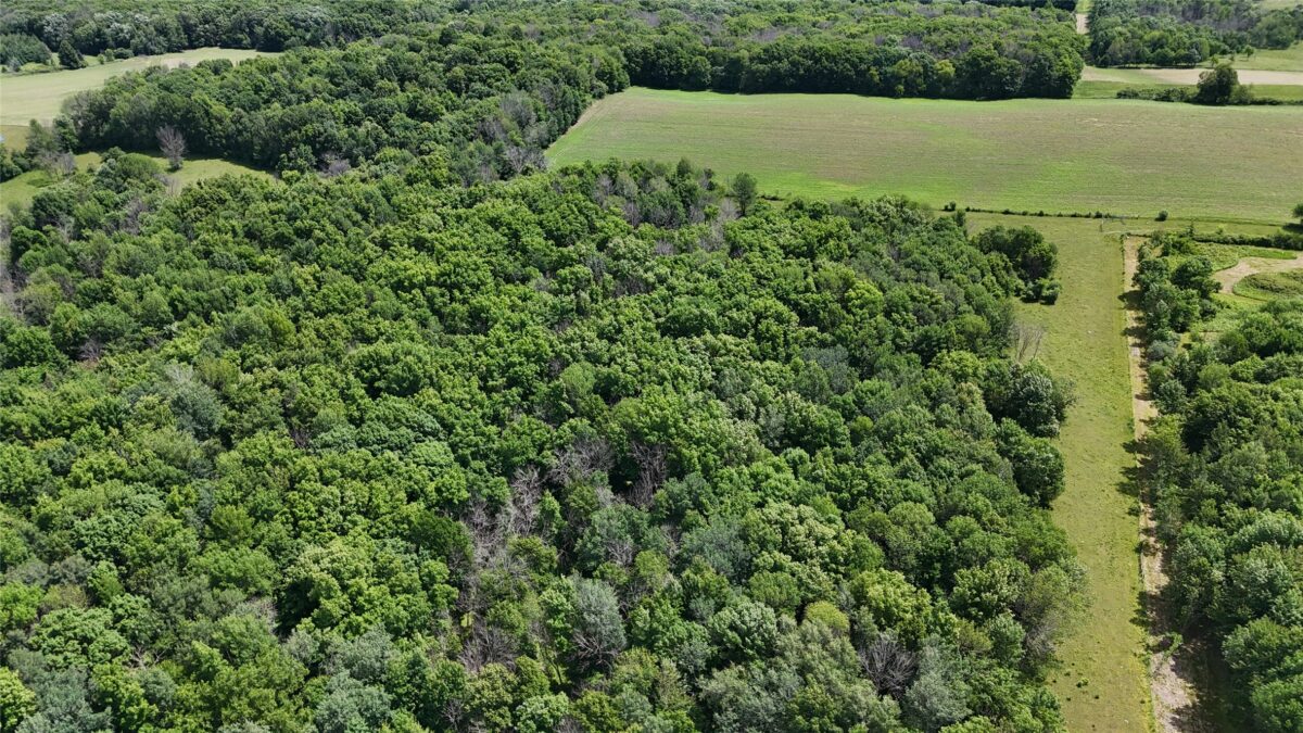TBD 230th Street, Baldwin WI 54002 - Land house for sale - MLS #1602407 - image10