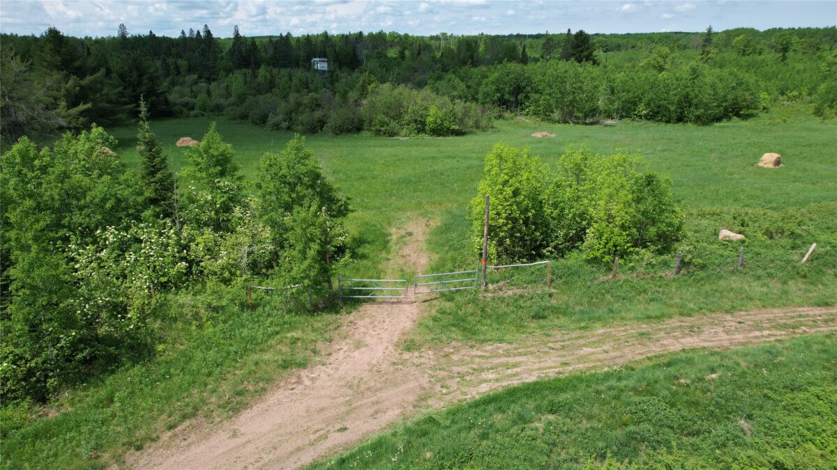 TBD Skerbeck Road, Iron River WI 54847 - Land house for sale - MLS #1601999 - image2