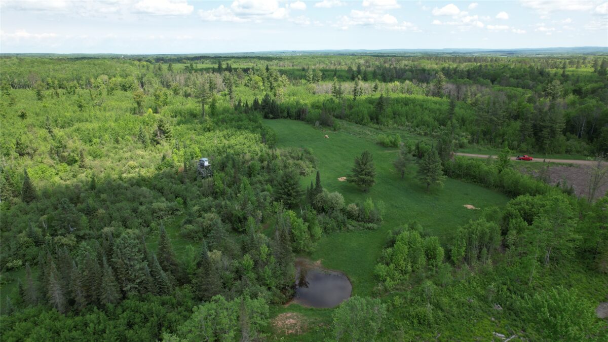 TBD Skerbeck Road, Iron River WI 54847 - Land house for sale - MLS #1601999 - image6