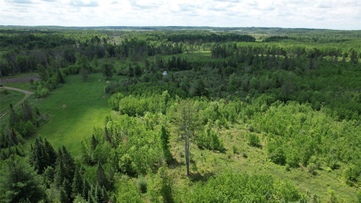 TBD Skerbeck Road, Iron River WI 54847 - Land house for sale - MLS #1601999 - image7