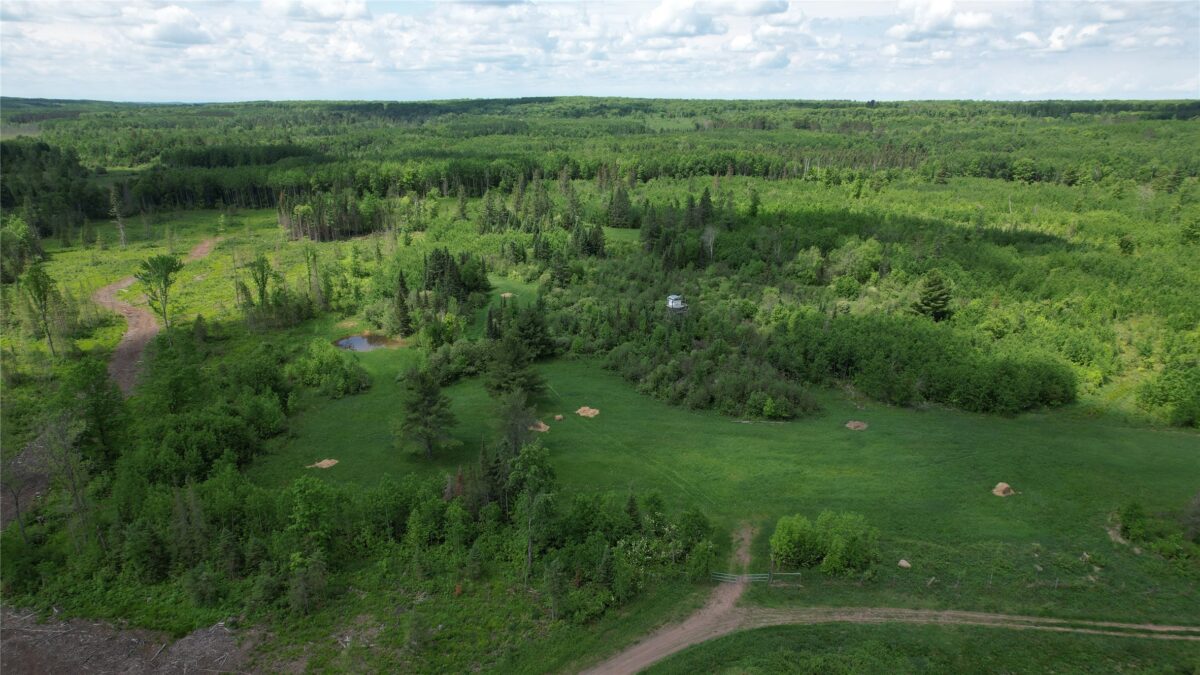 TBD Skerbeck Road, Iron River WI 54847 - Land house for sale - MLS #1601999 - image8