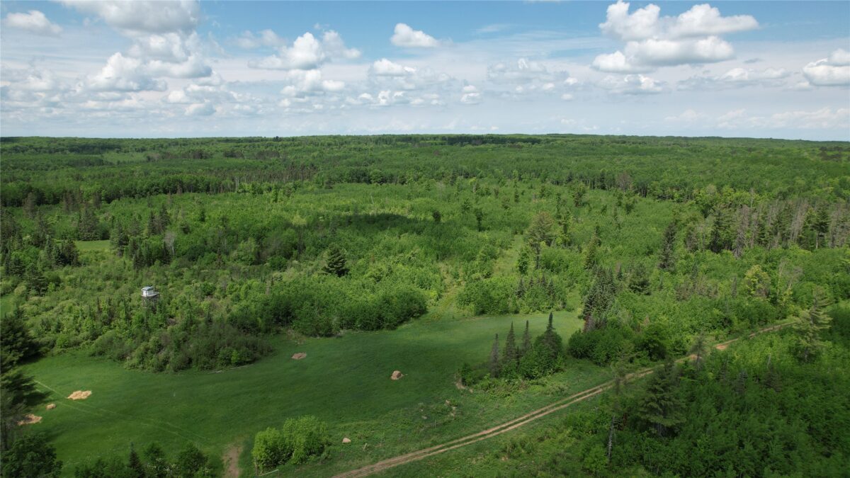 TBD Skerbeck Road, Iron River WI 54847 - Land house for sale - MLS #1601999 - image9